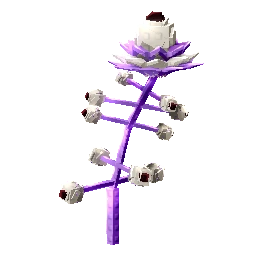 Asteris