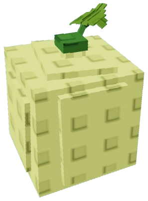 Cantaloupe