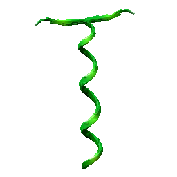 Coilvine