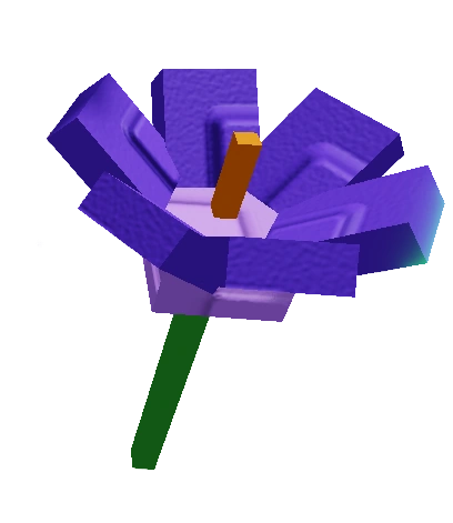 Crocus