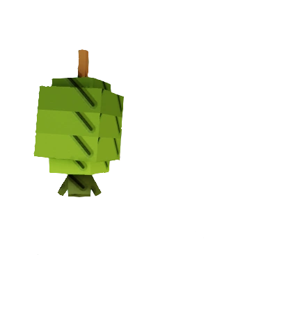 Feijoa