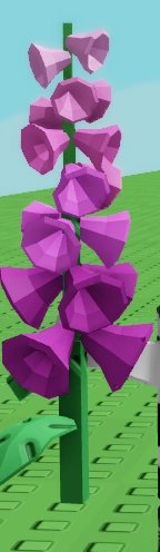 Foxglove