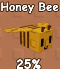Honey Bee