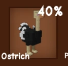 Ostrich