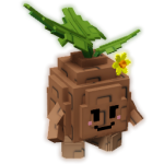 Seedling