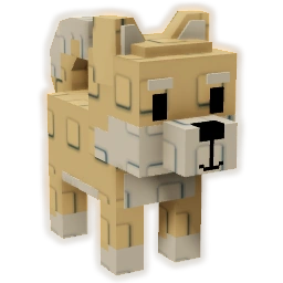 Shiba Inu