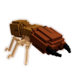 Termite