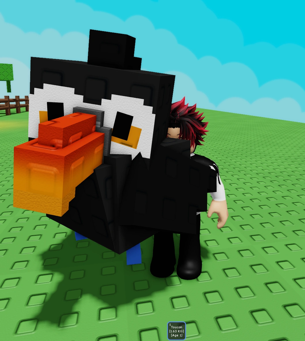 Toucan