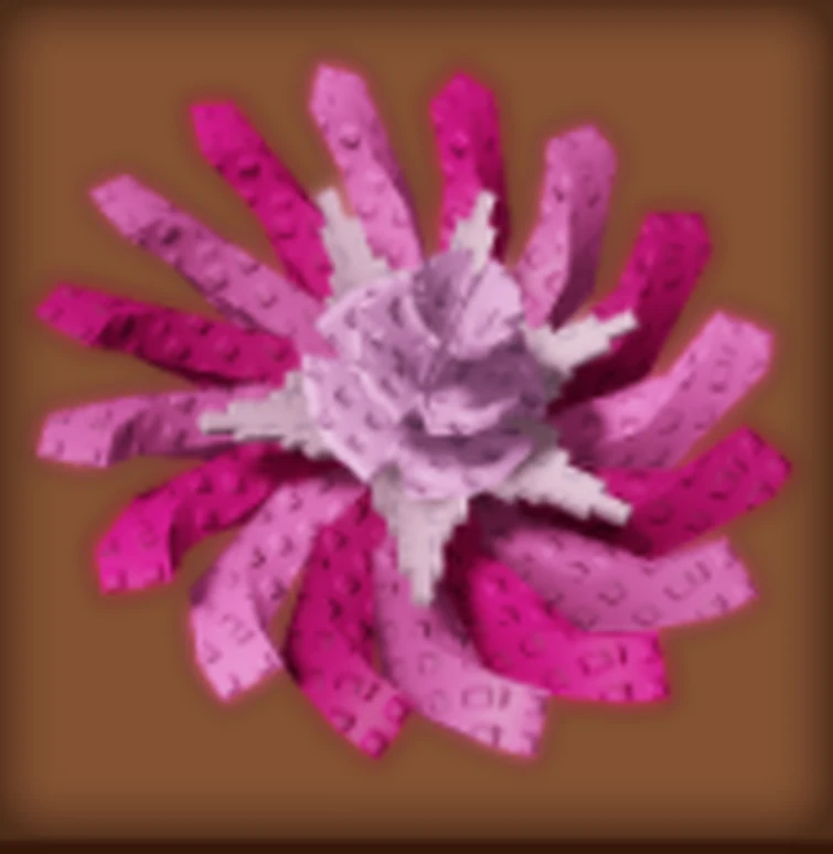 Pinkside Dandelion