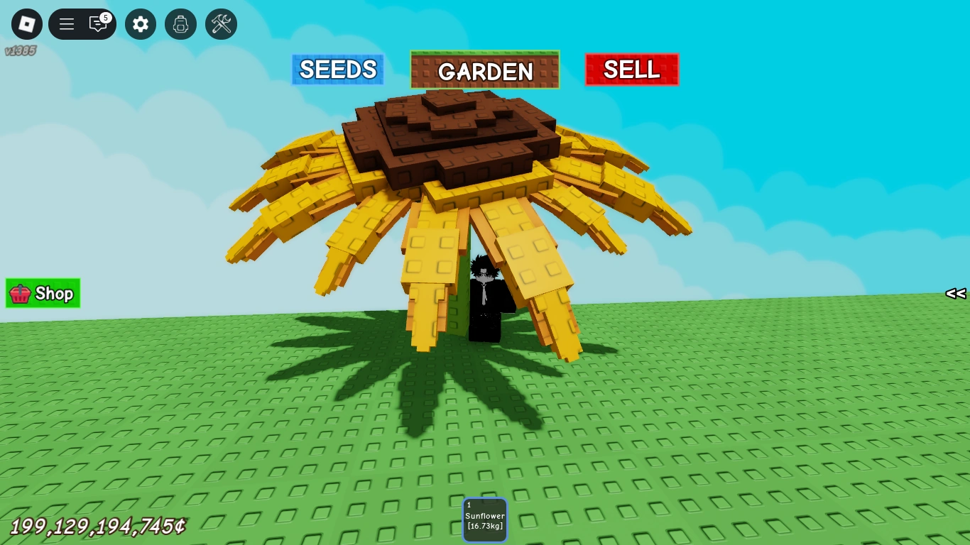 Sunflower
